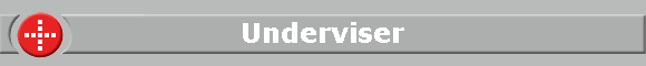 Underviser